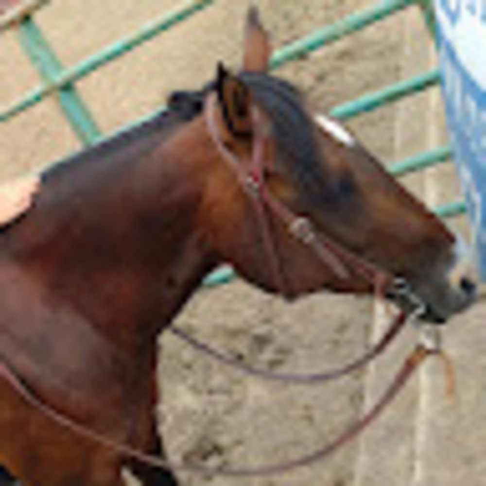 Meet your Posher, Kayla